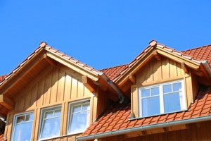 Giebelgaube Walmgaube Schleppgaube (gerade, schräg oder liegend) Fledermausgaube Spitzgaube Dachreiter Rund- oder Tonnengaube